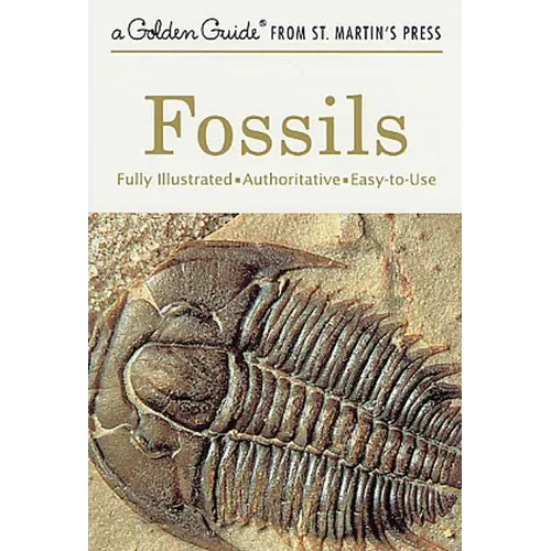 Fossils: A Fully Illustrated, Authoritative and Easy-To-Use Guide - Paperback