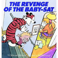 The Revenge of the Baby-SAT: A Calvin and Hobbes Collection Volume 6 - Paperback