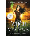 The Witch of the Meadows: Large Print Edition - Paperback