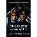 The Ghost in the Attic - Paperback