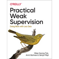 Practical Weak Supervision: Doing More with Less Data - Paperback