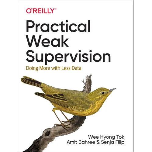 Practical Weak Supervision: Doing More with Less Data - Paperback