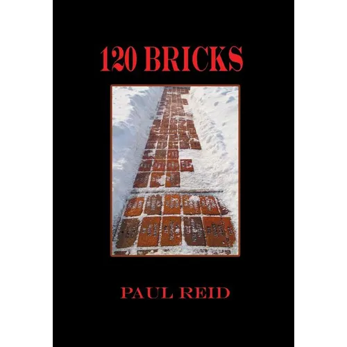 120 Bricks - Hardcover