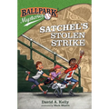 Satchel's Stolen Strike - Paperback