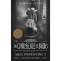 The Conference of the Birds - Paperback