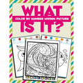 What Is It?: Color By Number Hidden Picture - Paperback