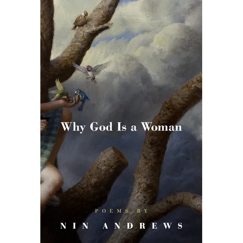 Why God Is a Woman - Paperback