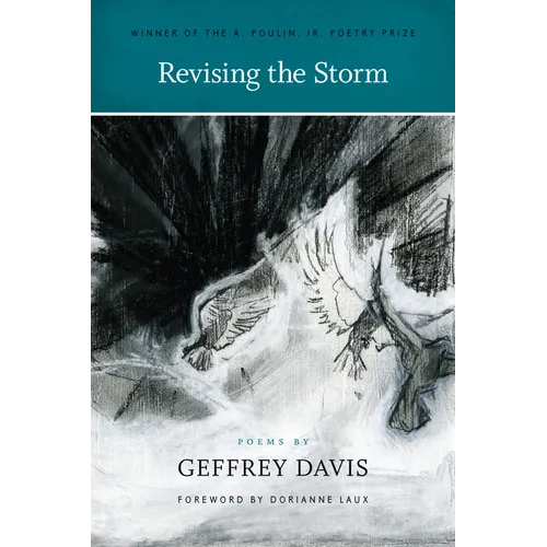 Revising the Storm - Paperback