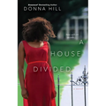A House Divided - Paperback