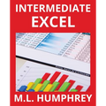 Intermediate Excel - Paperback