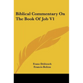 Biblical Commentary On The Book Of Job V1 - Paperback