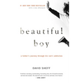 Beautiful Boy: A Father's Journey Through His Son's Addiction - Paperback