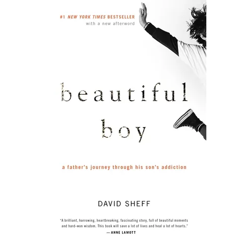 Beautiful Boy: A Father's Journey Through His Son's Addiction - Paperback