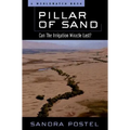 Pillar of Sand: Can the Irrigation Miracle Last? - Paperback