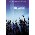 NIV, Outreach New Testament, Large Print, Paperback - Paperback