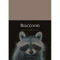 Raccoon - Paperback