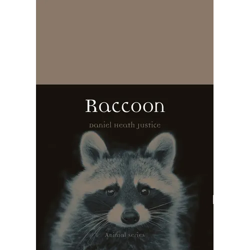 Raccoon - Paperback