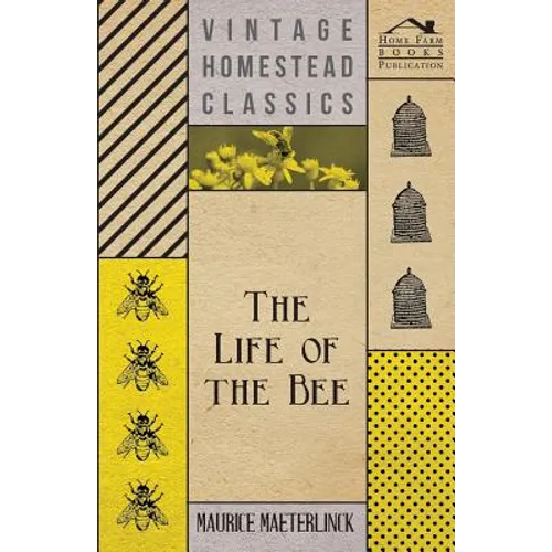 The Life Of The Bee - Paperback