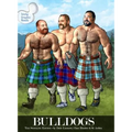 Bulldogs: The Stonking Edition - Hardcover