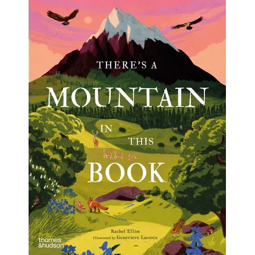 There's a Mountain in This Book - Hardcover