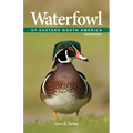 Waterfowl of Eastern North America - Paperback