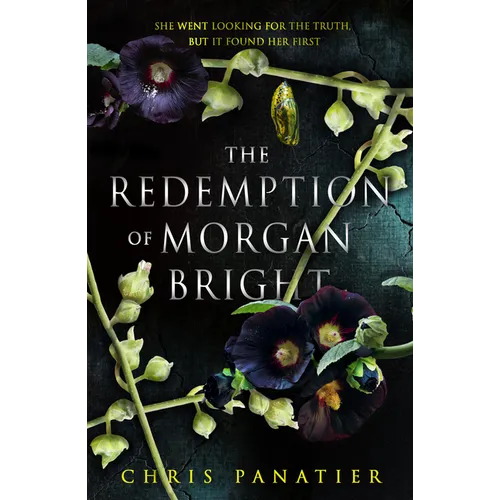The Redemption of Morgan Bright - Paperback
