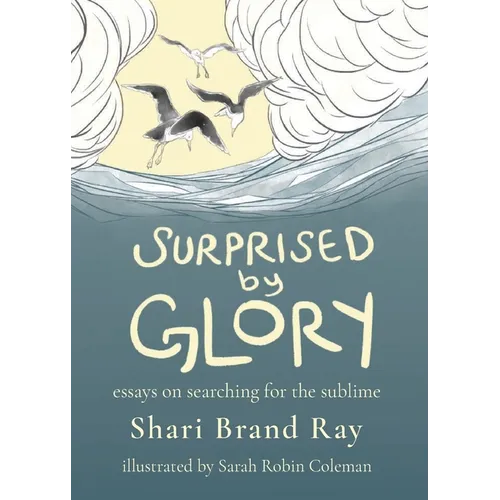 Surprised by Glory: Essays on Searching for the Sublime - Paperback