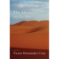 The Mountain in the Sea - Paperback