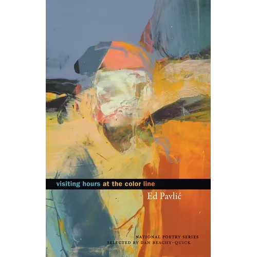Visiting Hours at the Color Line - Paperback