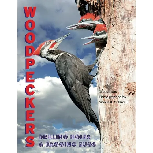 Woodpeckers: Drilling Holes and Bagging Bugs - Hardcover