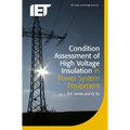 Condition Assessment of High Voltage Insulation in Power System Equipment - Paperback
