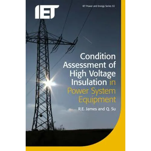 Condition Assessment of High Voltage Insulation in Power System Equipment - Paperback