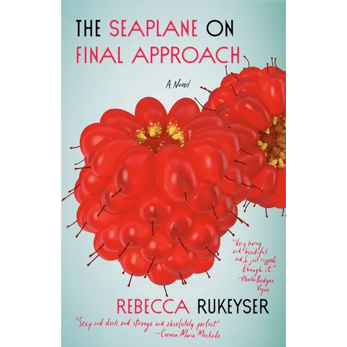 The Seaplane on Final Approach - Paperback