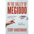 In The Valley Of Megiddo - Paperback