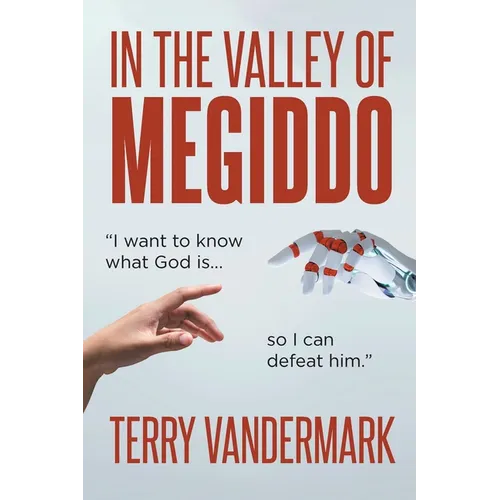 In The Valley Of Megiddo - Paperback