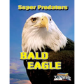 Bald Eagle: (Age 5 - 8) - Paperback
