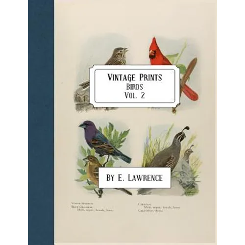 Vintage Prints: Birds: Vol. 2 - Paperback