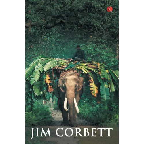 My India - Paperback