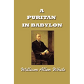 A Puritan in Babylon, The Story of Calvin Coolidge