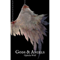Gods & Angels - Paperback