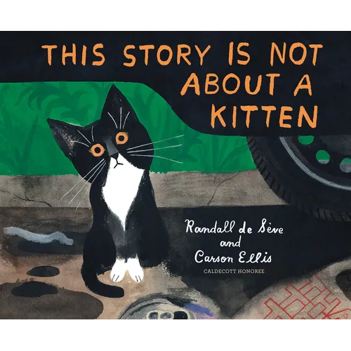 This Story Is Not about a Kitten - Hardcover