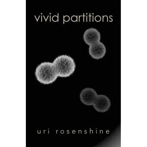 Vivid Partitions - Paperback