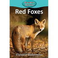 Red Foxes - Paperback