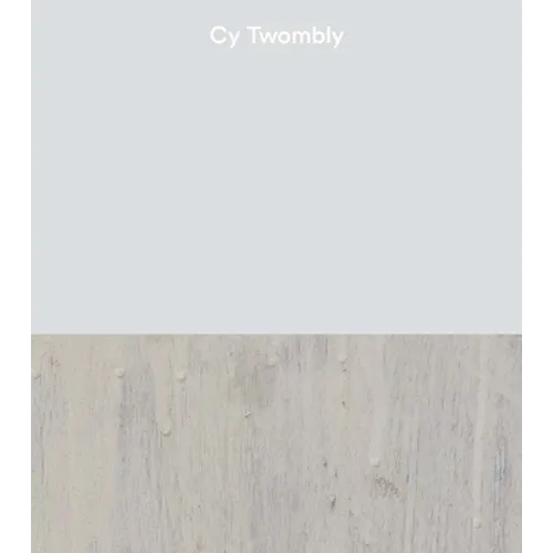 Cy Twombly - Hardcover