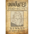 Unwanted: Dead or Alive? - Paperback