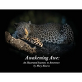 Awakening Awe: An Illustrated Journey to Reverence - Paperback