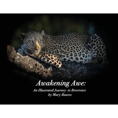 Awakening Awe: An Illustrated Journey to Reverence - Paperback