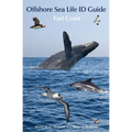 Offshore Sea Life ID Guide: East Coast - Paperback