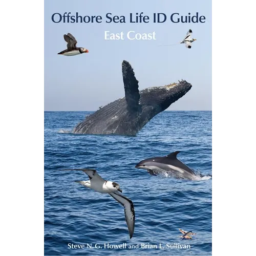Offshore Sea Life ID Guide: East Coast - Paperback