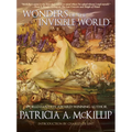 Wonders of the Invisible World - Paperback